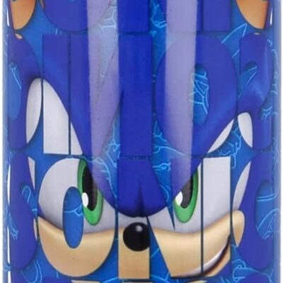 Garrafa Térmica Aço Inoxidável 515 ML - Sonic the Hedgehog