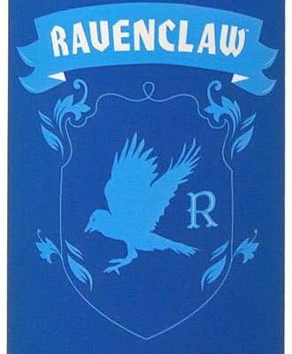 Garrafa Aluminio - Harry Potter: Ravenclaw 700ml