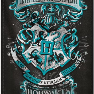Poster de Tecido / Wall Scroll (70x100cm) - Harry Potter: Triwizard Tournament