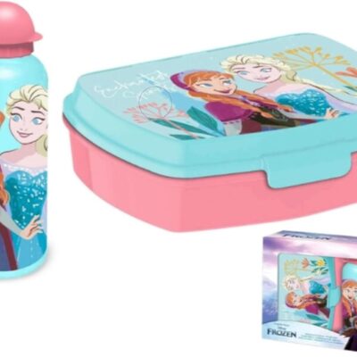 Garrafa Aluminio 500ml + Lancheira - Disney Frozen