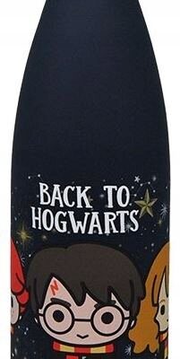 Garrafa Térmica em Aço Inoxidável Harry Potter Azul 650 ml