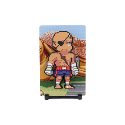 Figura FiGGYZ - Street Fighter II: Sagat 206