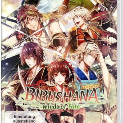 Birushana: Winds of Fate Nintendo Switch